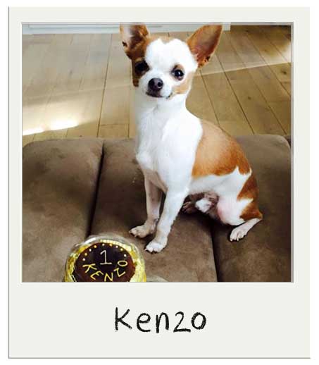 Kenzo !